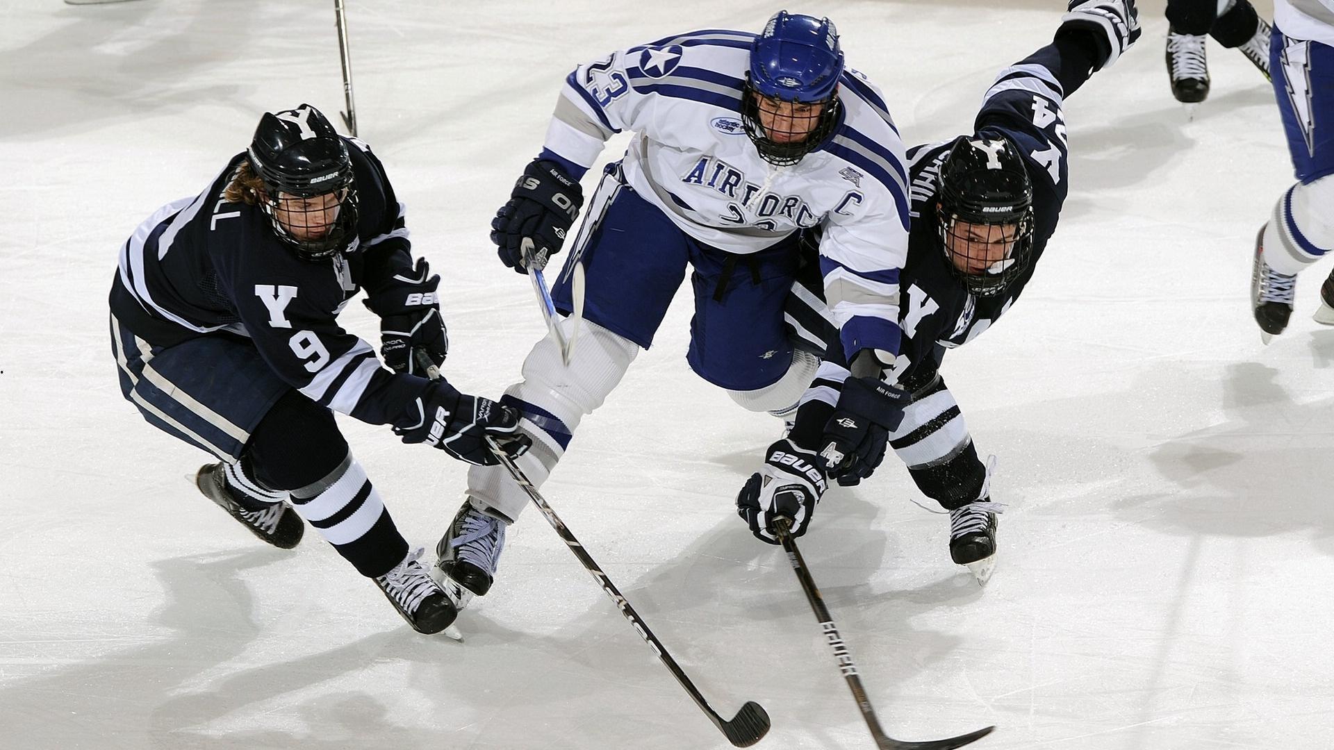 绿茵情缘，韦尔纳的成长之路，罗尼与塞萨尔的守护使命